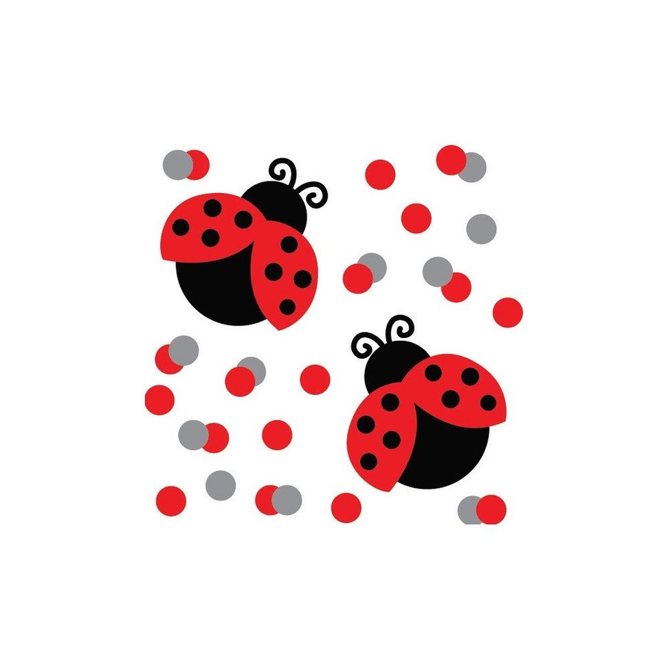 Ladybug Cleaner's Photo