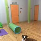 Yuppies Dog Loft