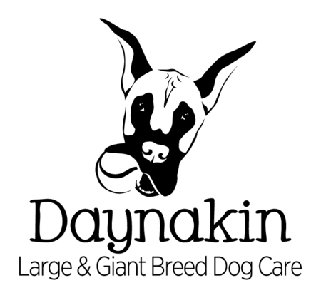 Daynakin Large Breed Dog Care