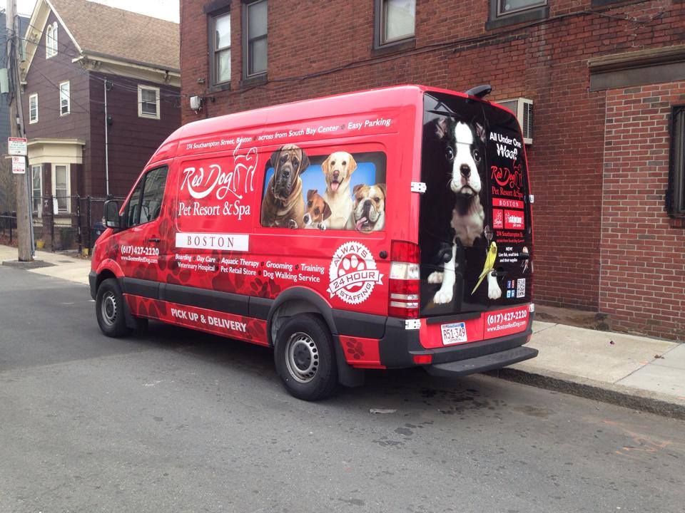 Red Dog Pet Resort & Spa's Photo