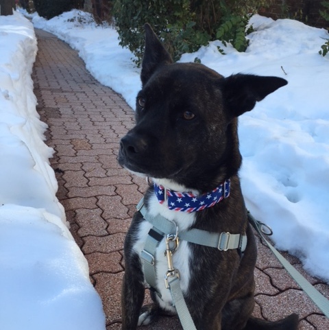 Fur Friends Only!'s Photo