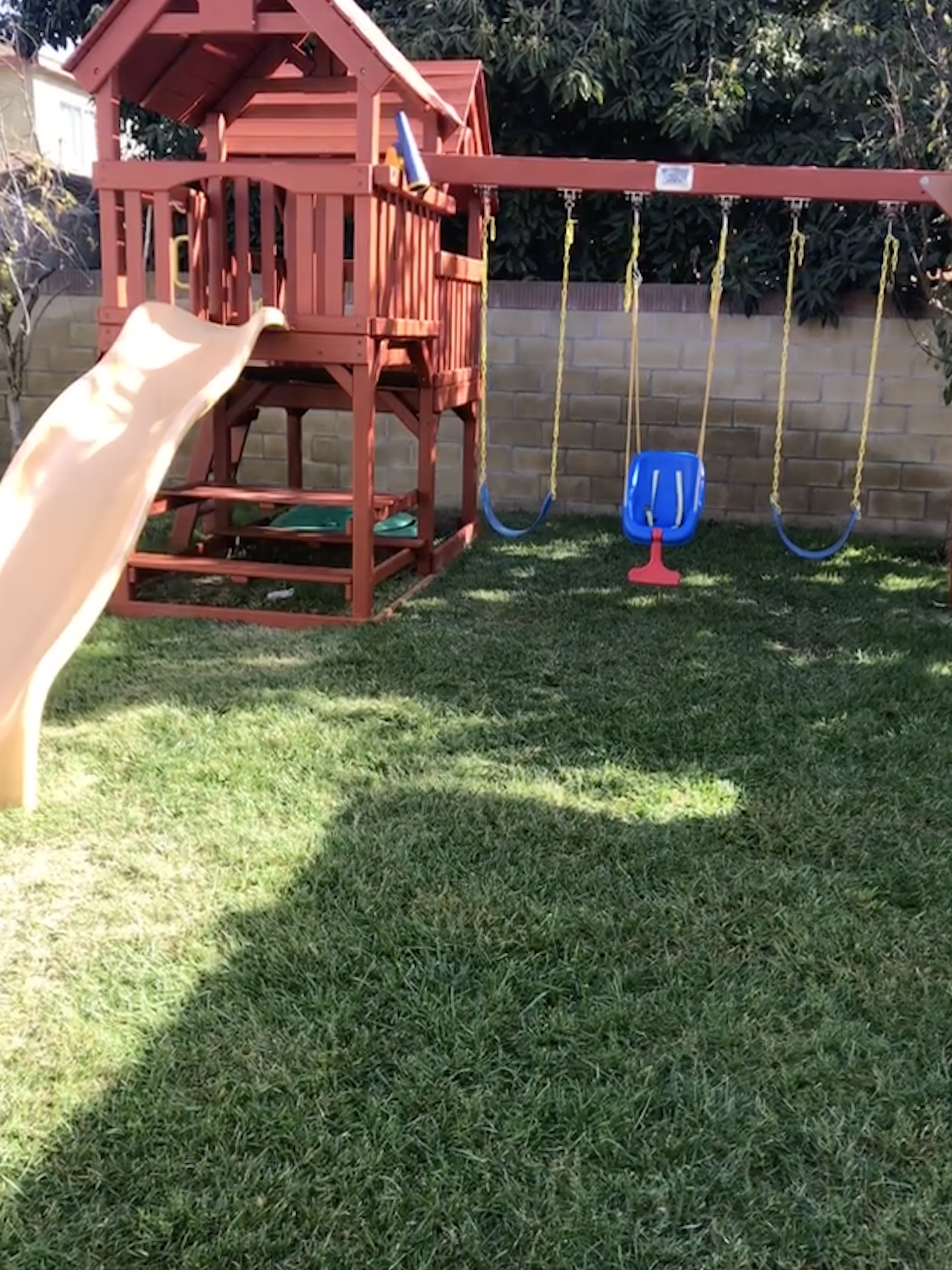 Saylah's Busy Bees's Photo