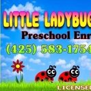 Little Ladybugs Day Care