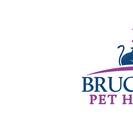Bruceville Pet Hospital