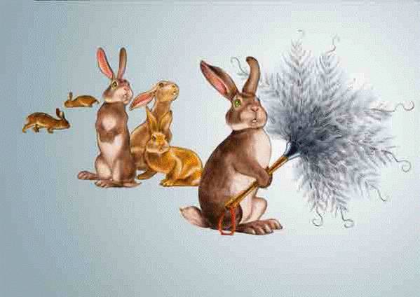 Dust Bunnies's Photo