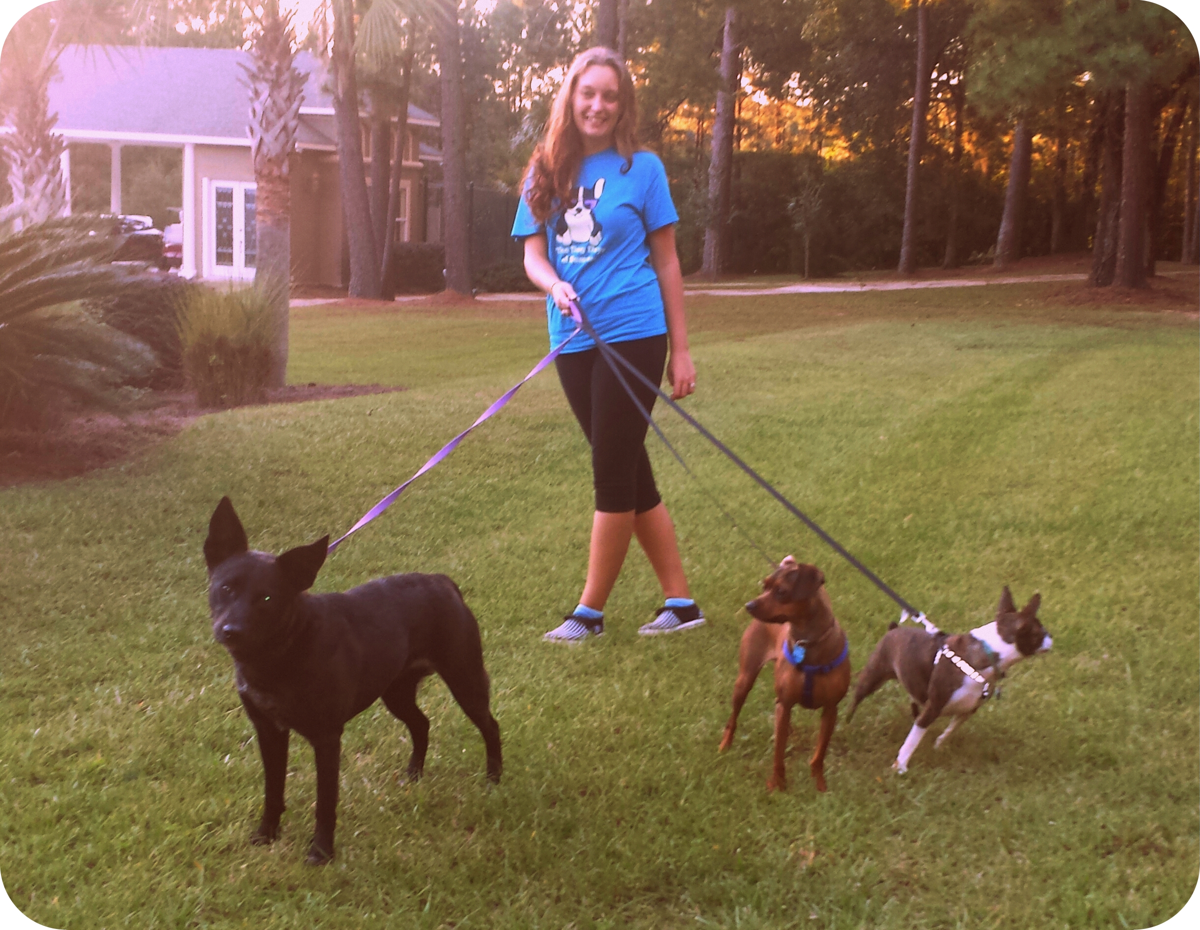 Ready, Set, Play! Pet Services's Photo