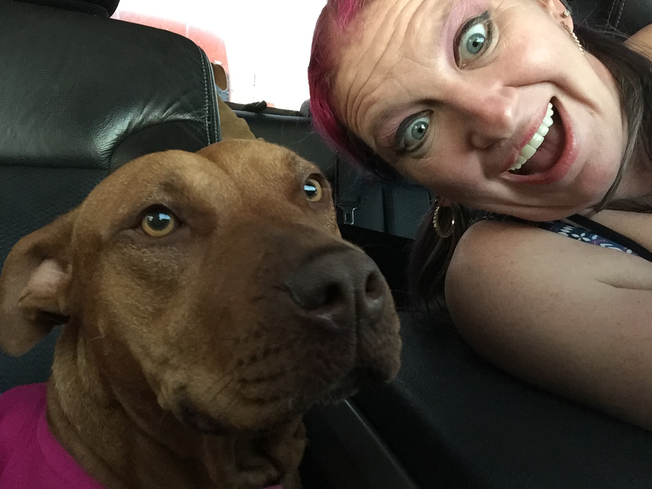 PetsFirst Pet Sitting Services's Photo