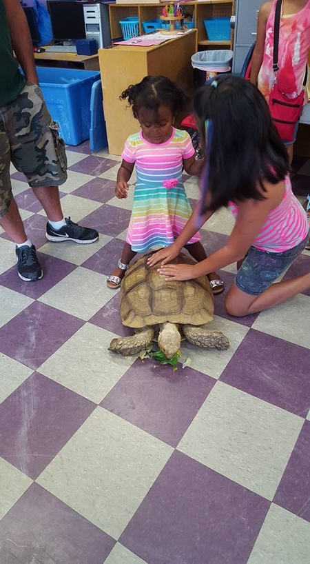 Little Learners Academy, Inc
