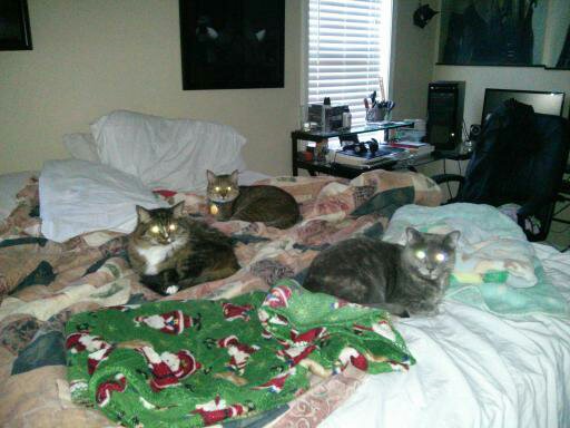 Je T'aime Pet Care's Photo