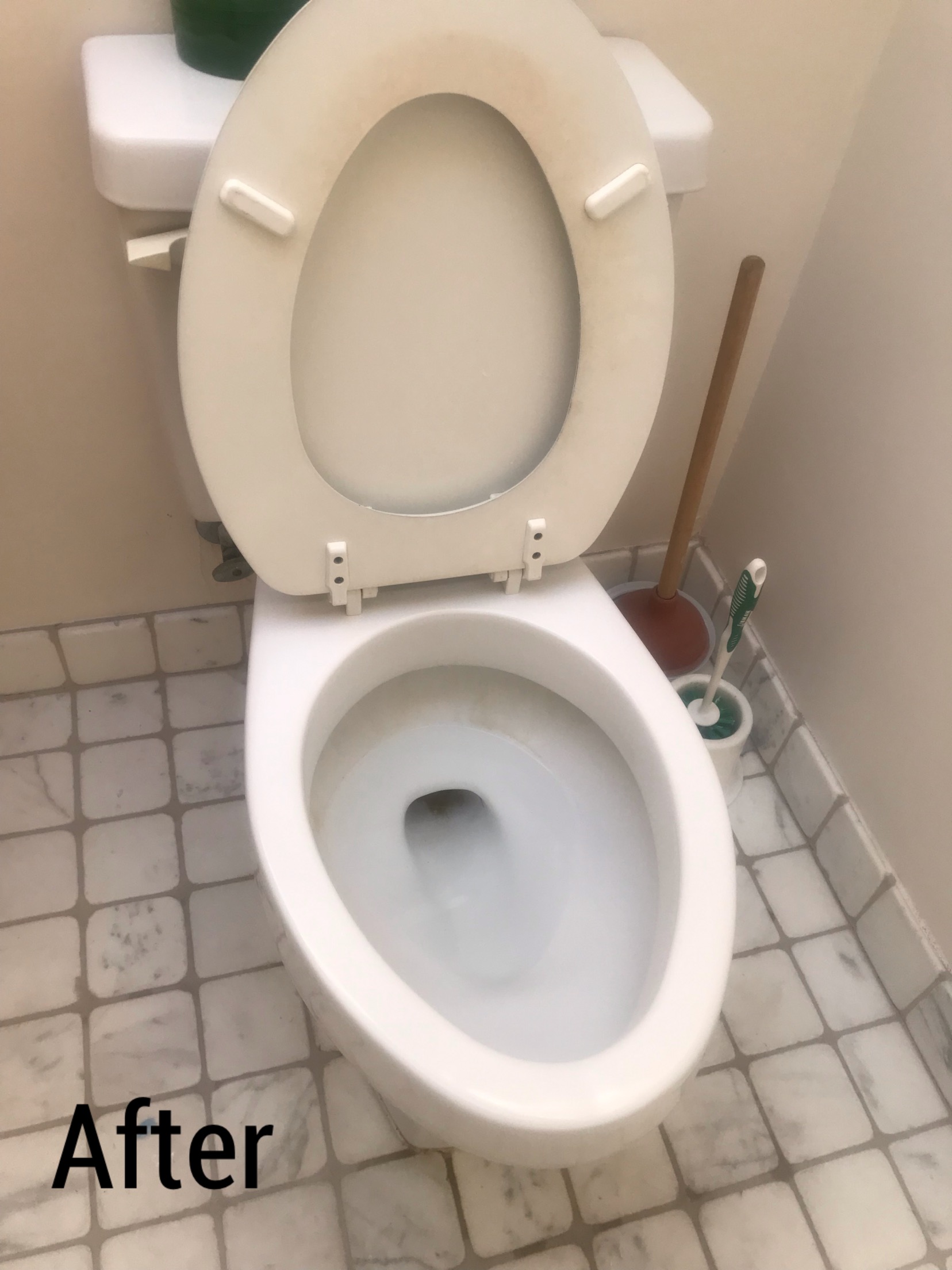 Beyond O.C.D.'s Photo