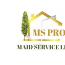 MS PRO MAID SERVICE LLC