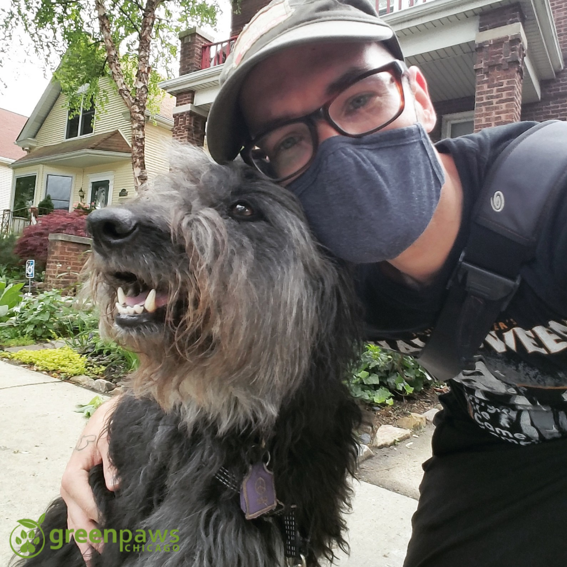 Green Paws Chicago's Photo