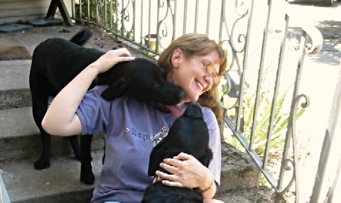 Scooter's Bed and Biscuit's Photo