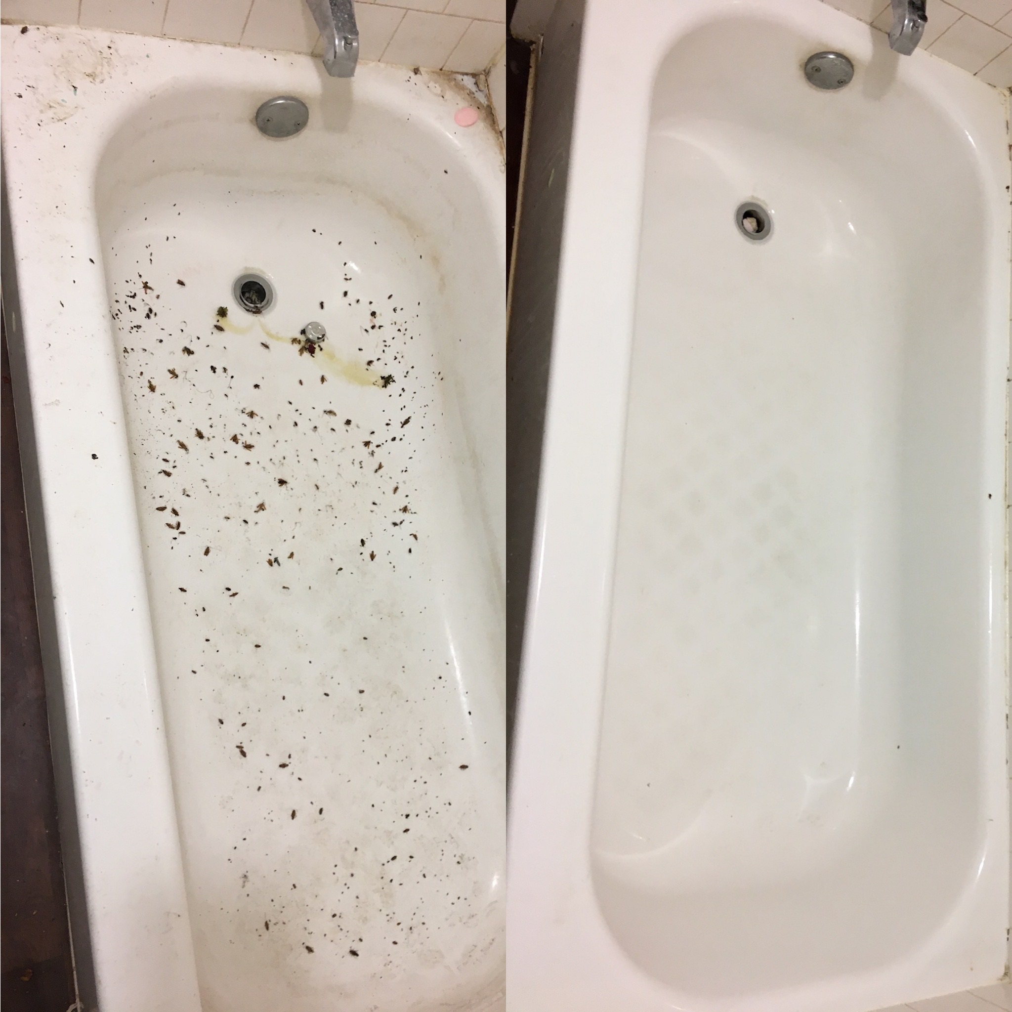 Serenity Housekeeping Services's Photo