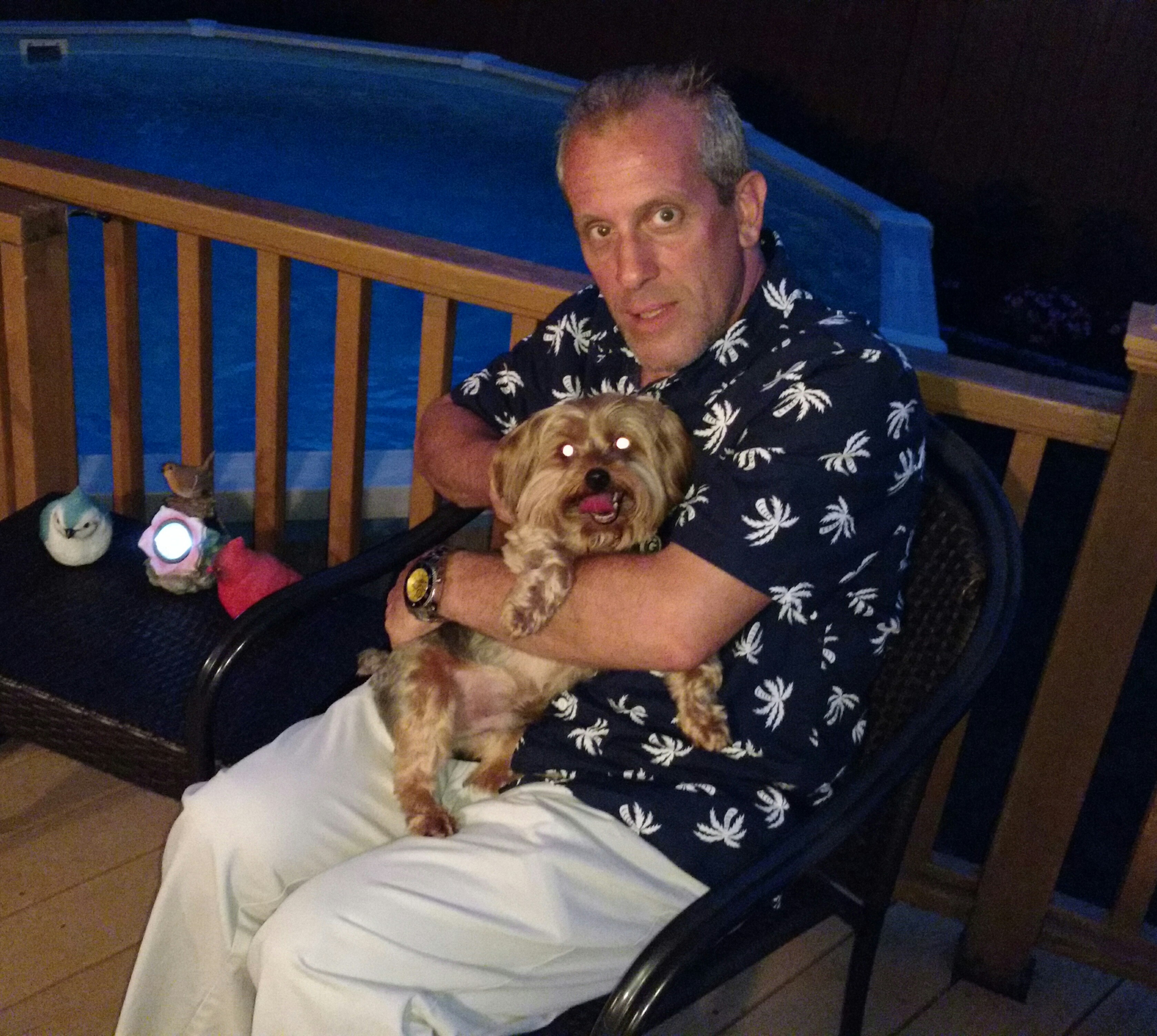 Waggin My Tail Dog-walking & Pet Service's Photo