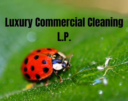 LUXURY COMMMERCIAL CLEANING LP
