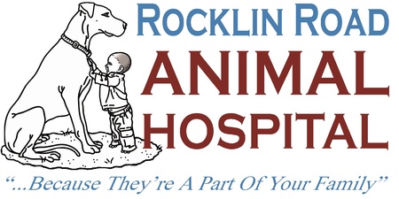 Rocklin Road Animal Hospital