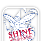 Shine Day Care Center LLC