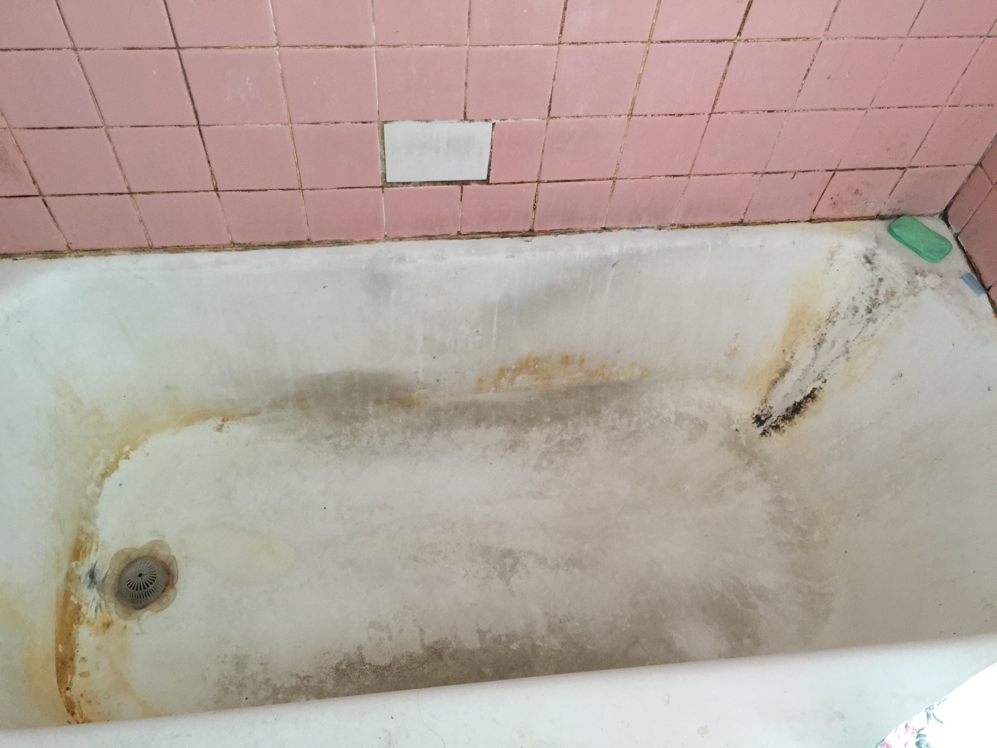 E-Z Clean Cleaning Service's Photo