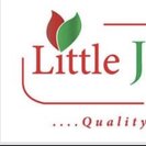 Little Johnny Care Services Llc