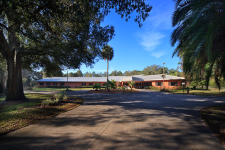 Wellsprings Senior Care