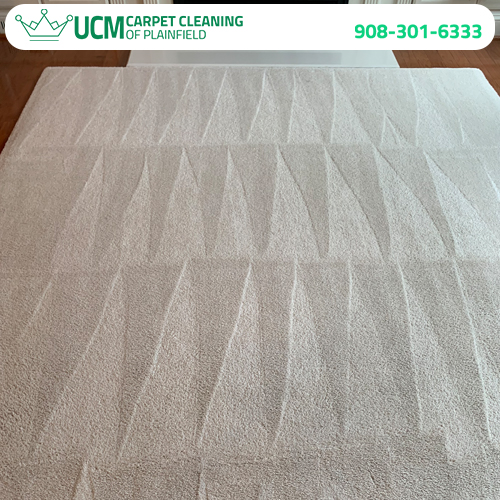 UCM Carpet Cleaning of Plainfield's Photo