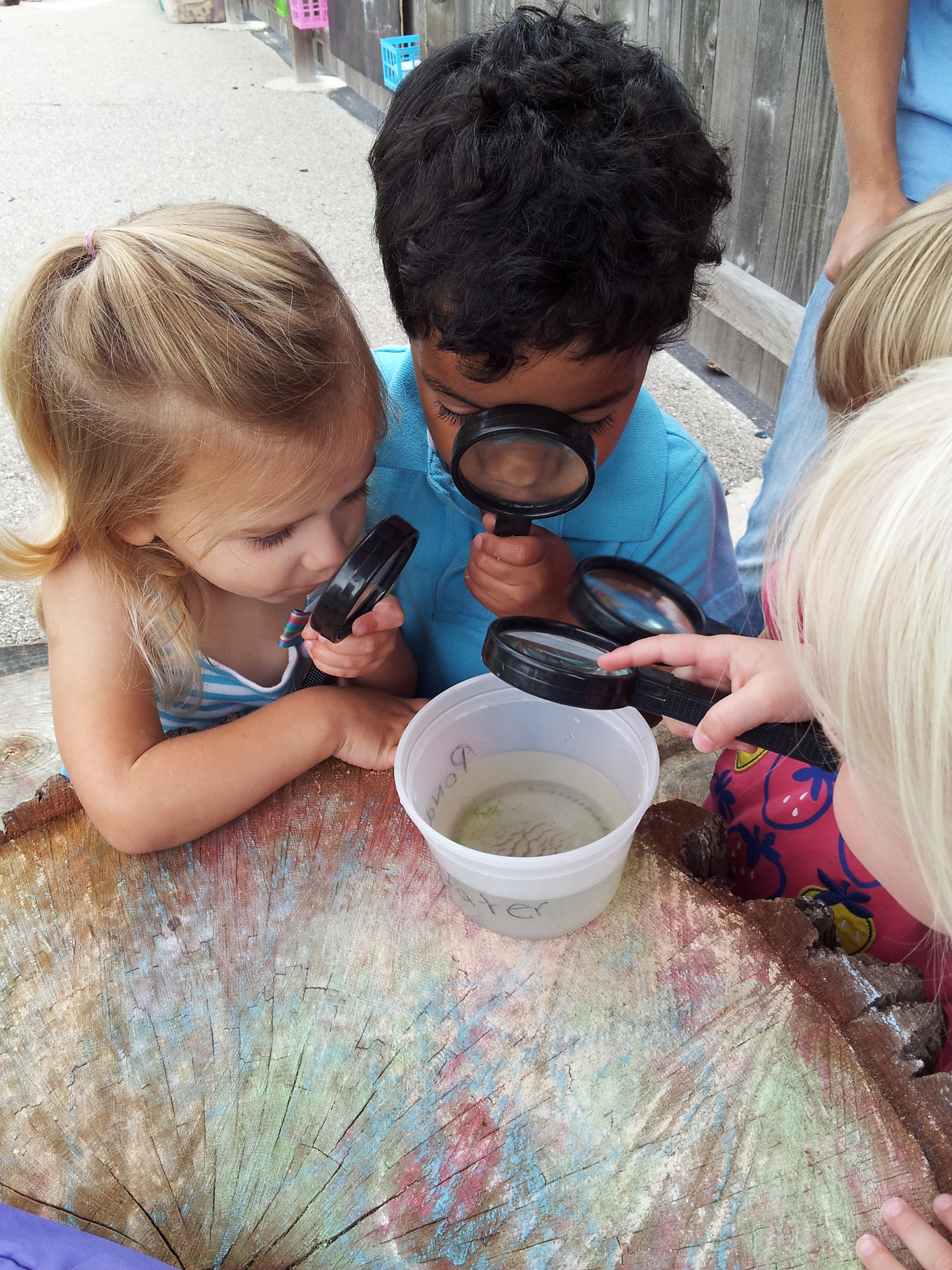 Momentum Early Learning's Photo