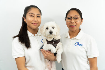 CLEEN LLC