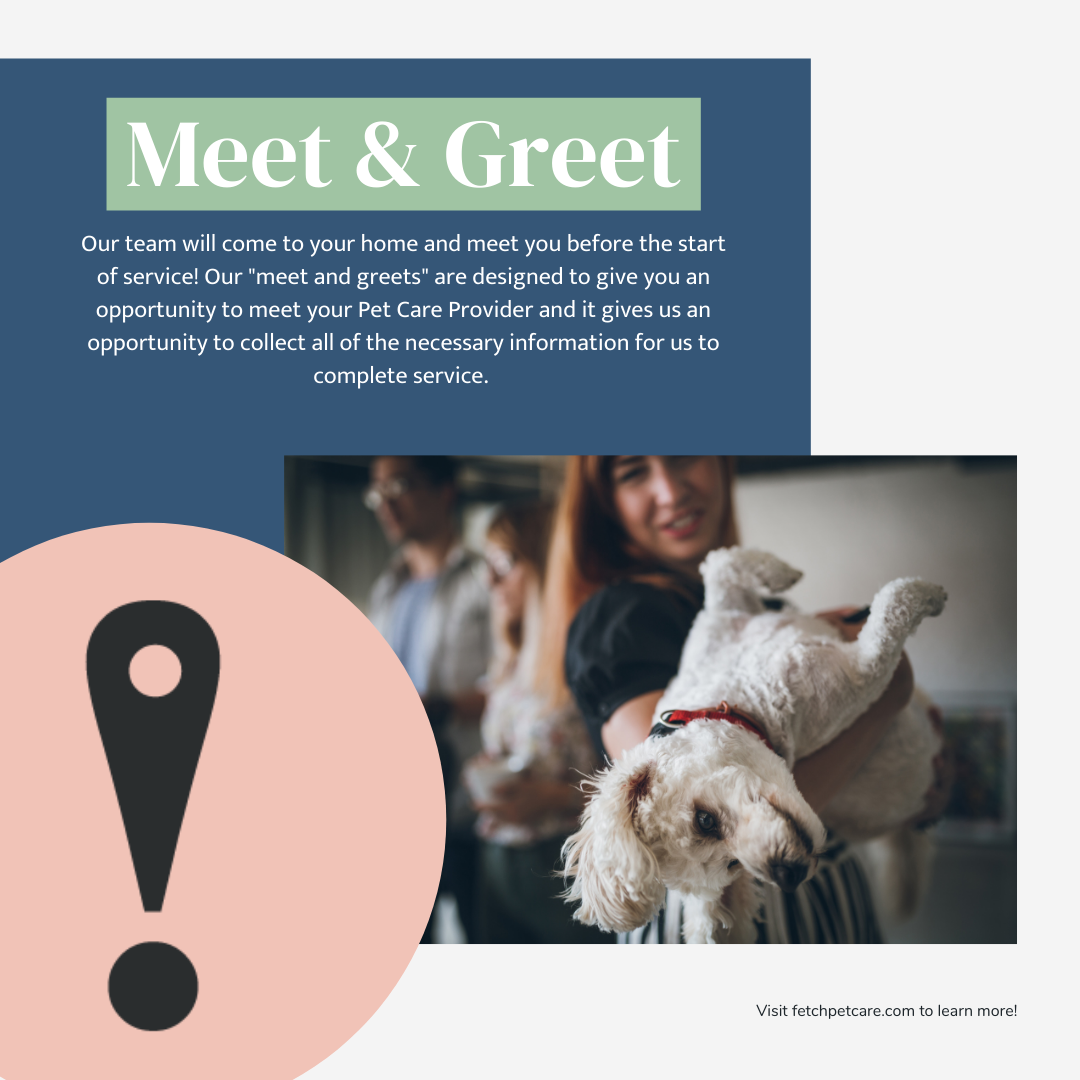 Fetch! Pet Care Raleigh's Photo