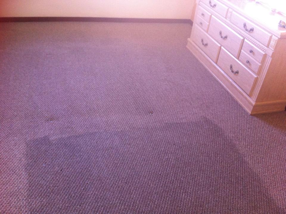 Oregon Carpet Cleaners's Photo