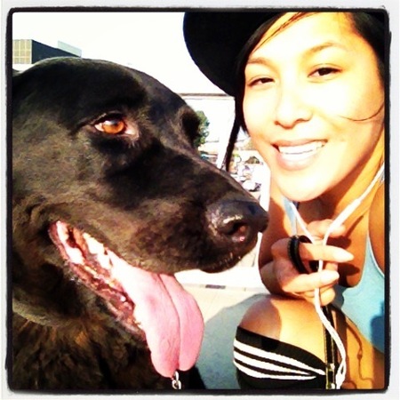 Dog Walking World