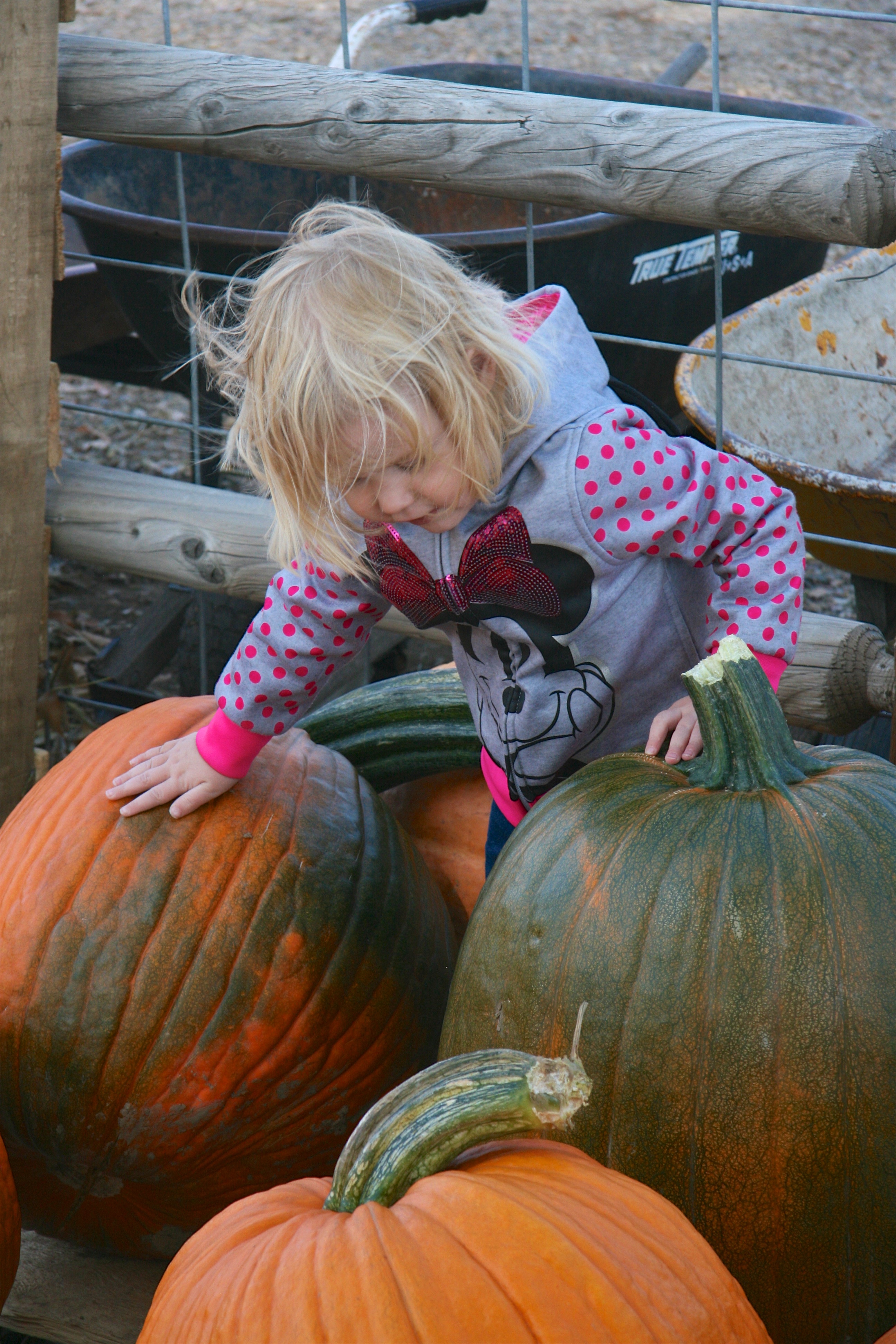 Creative Preschool & Family Childcare Home Llc's Photo