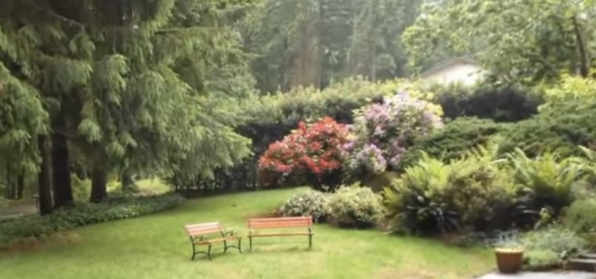 Riedels Adult Family Home's Photo