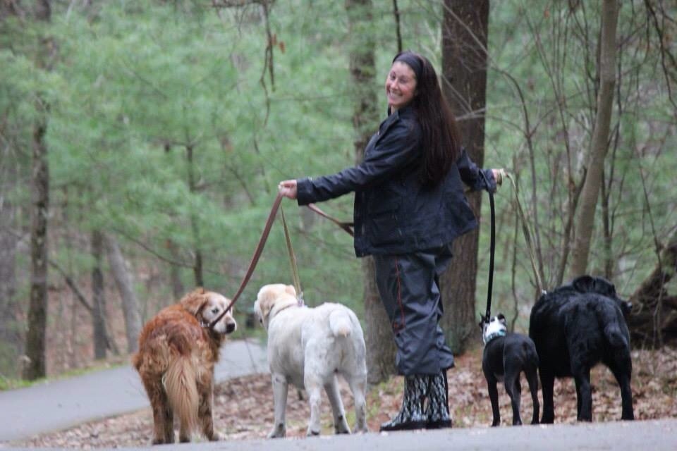 Leash Love's Photo