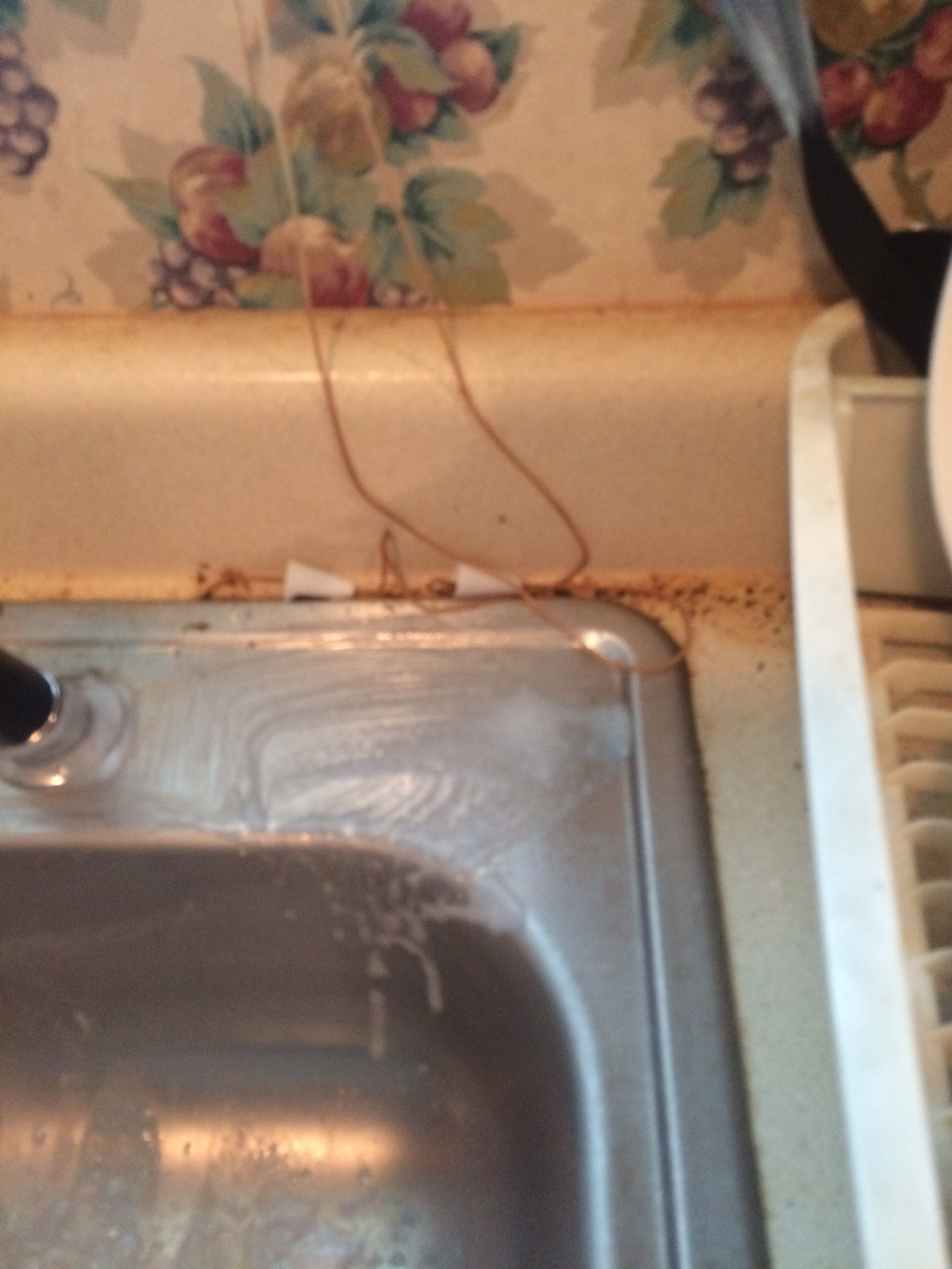 Southern Upkeep's Photo