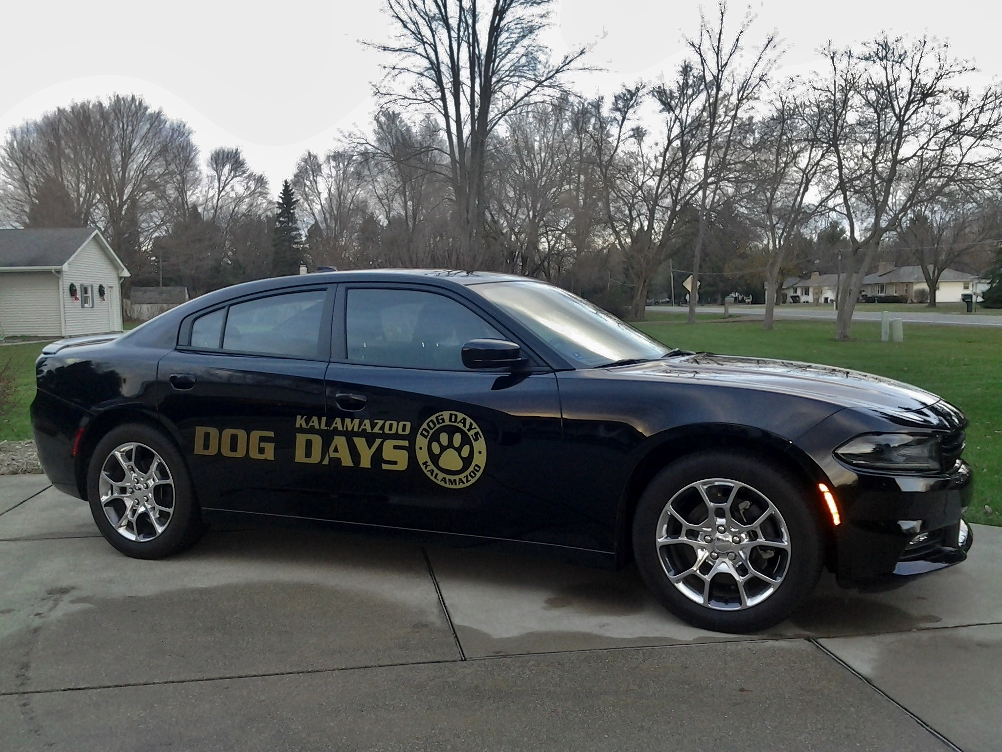 DOG DAYS Kalamazoo's Photo