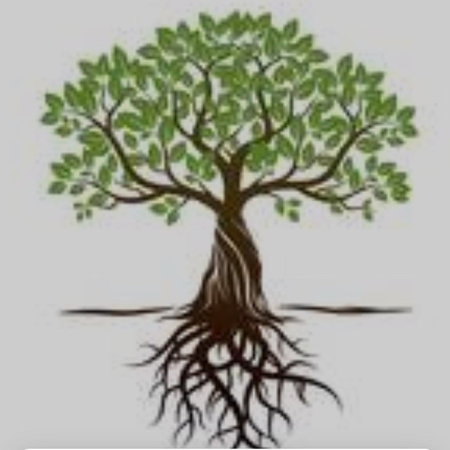 Grounded Roots