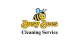 Busy Bees Cleaning Servo