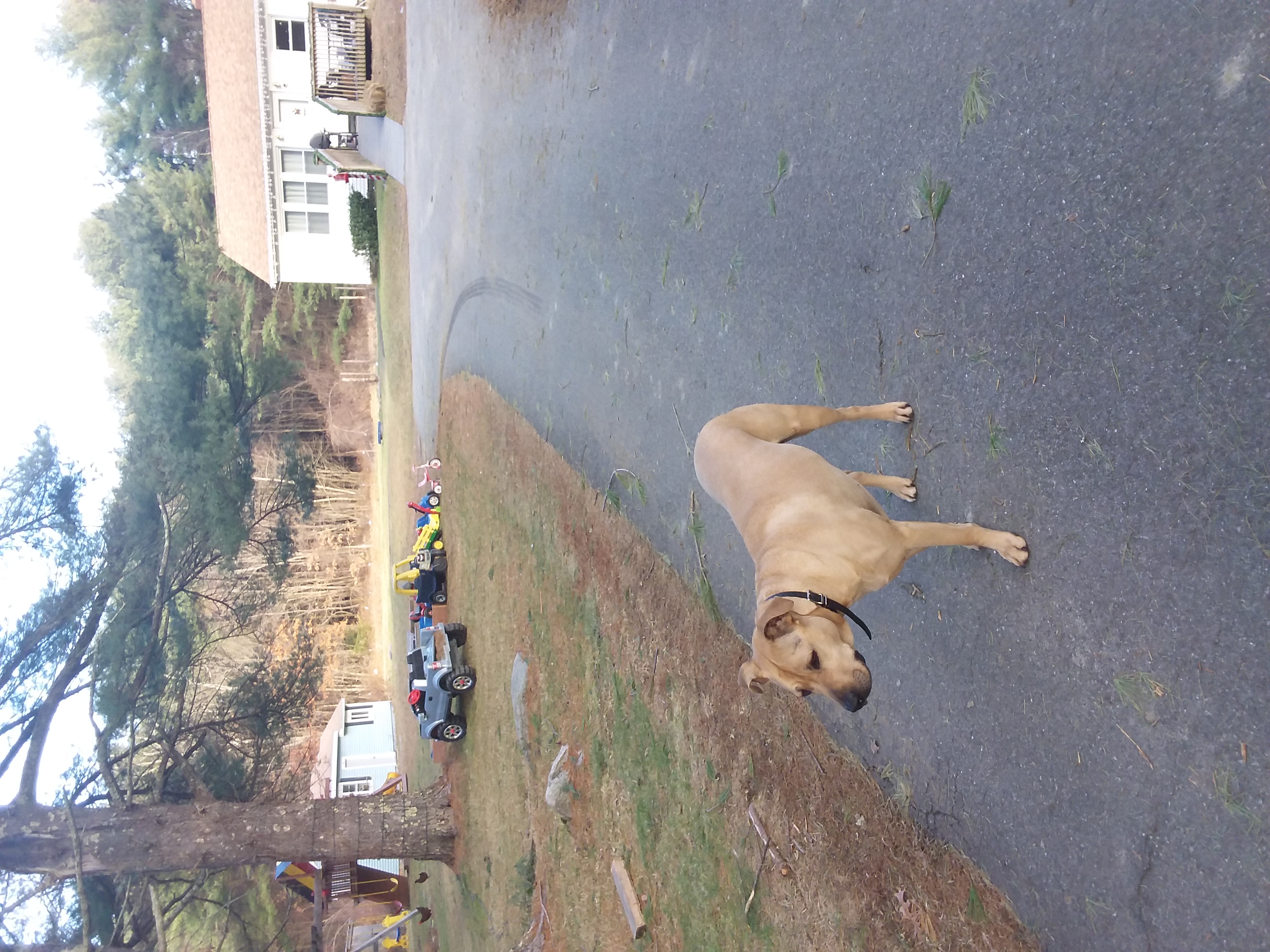 Loving Start Daycare's Photo