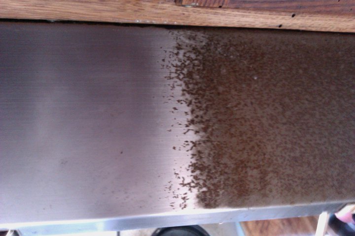 Mystic Maids's Photo