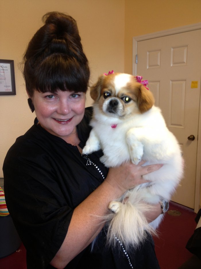 Doggy Bubbles's Photo