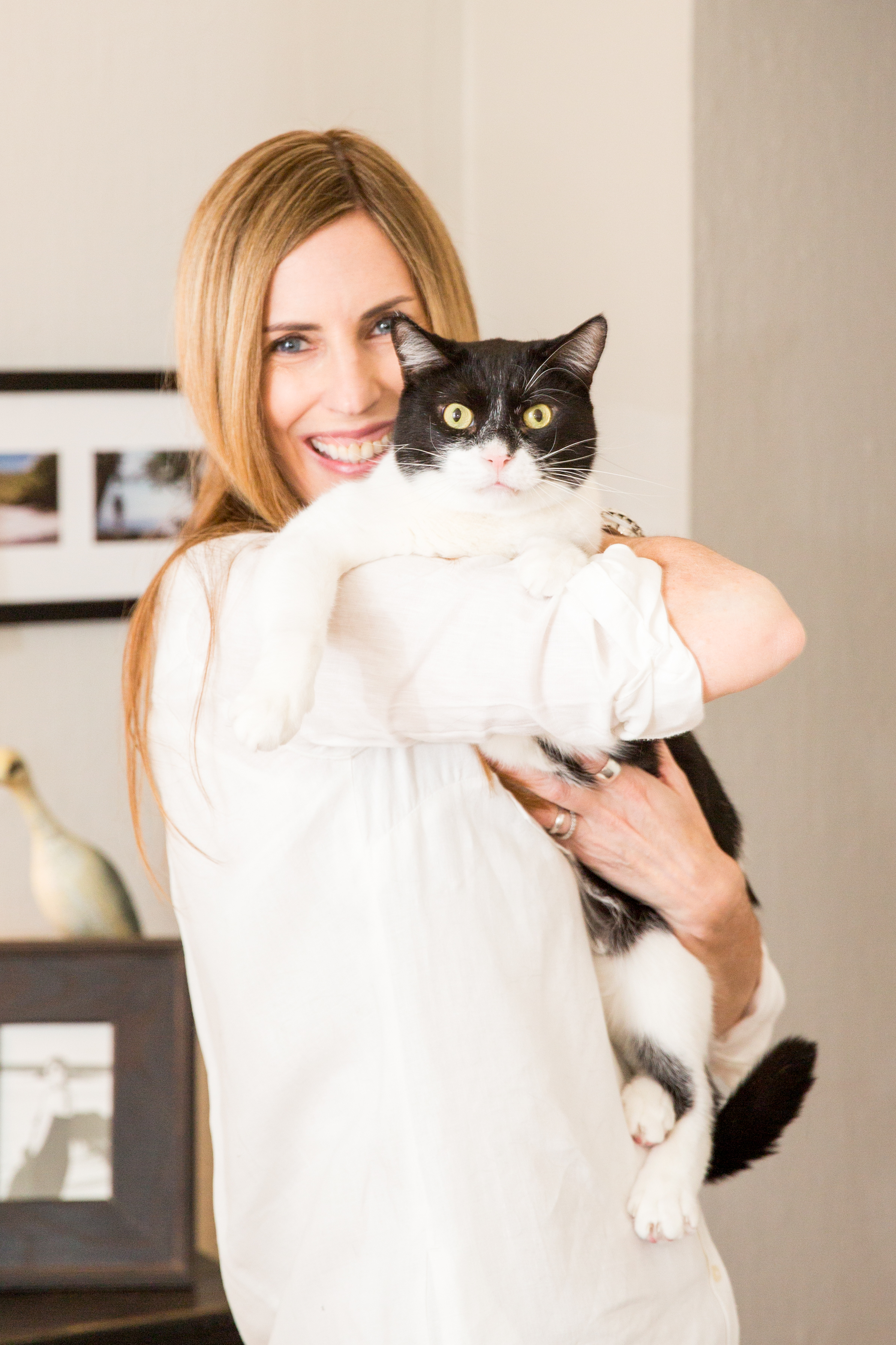 The Contented Cat's Photo