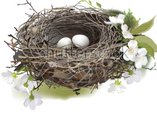 Shaudi's Nest