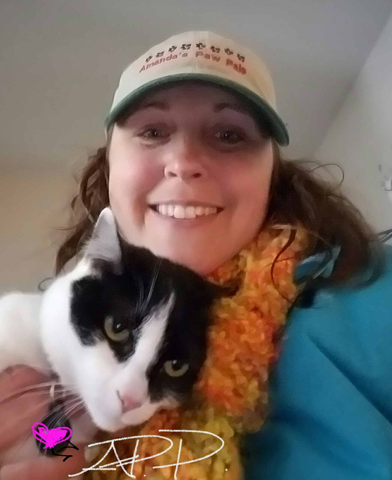 Amanda's Paw Pals, LLC's Photo