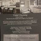 Vidal Cleaning