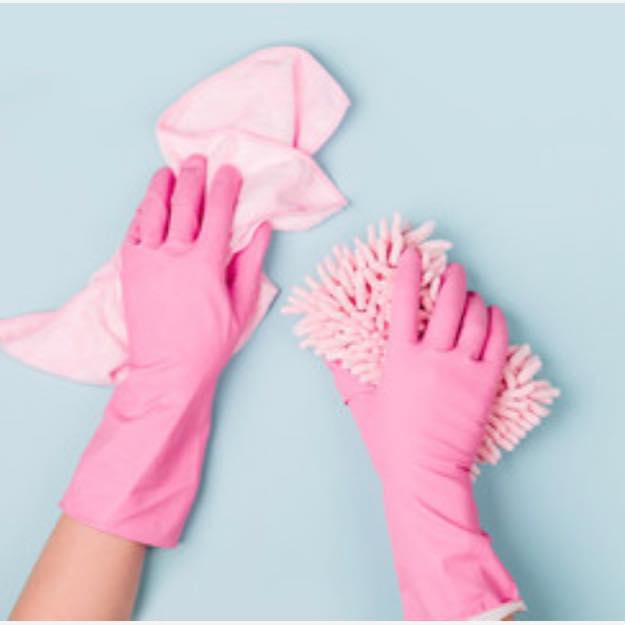 Just 2 Girls and a Mop's Photo