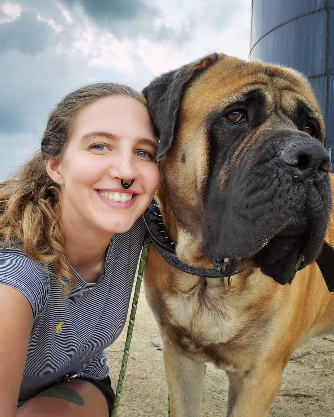 UNDERDOG K9 TRAINING's Photo