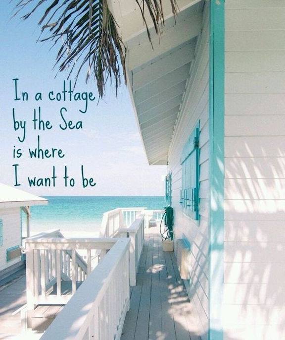 Space Coast MerMAIDS's Photo