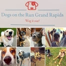 Dogs on the Run Grand Rapids