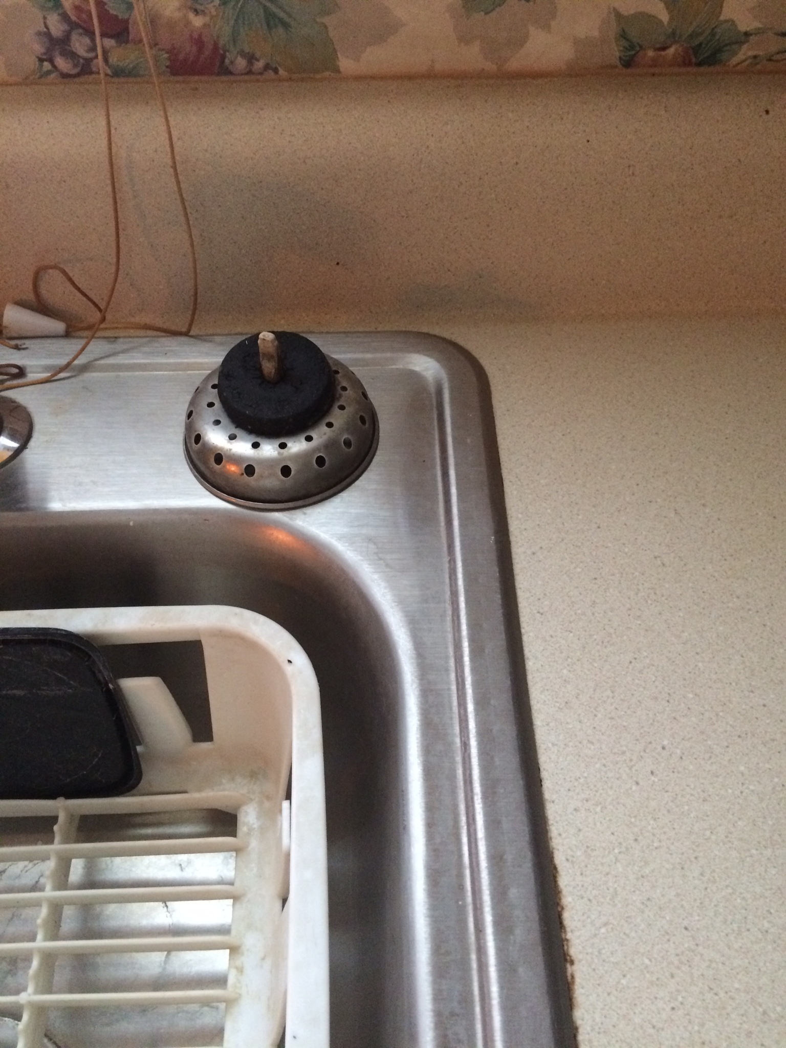 Southern Upkeep's Photo